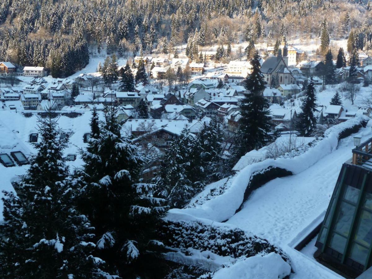 Апартаменты Haus Dachsberg Тодтмос Экстерьер фото