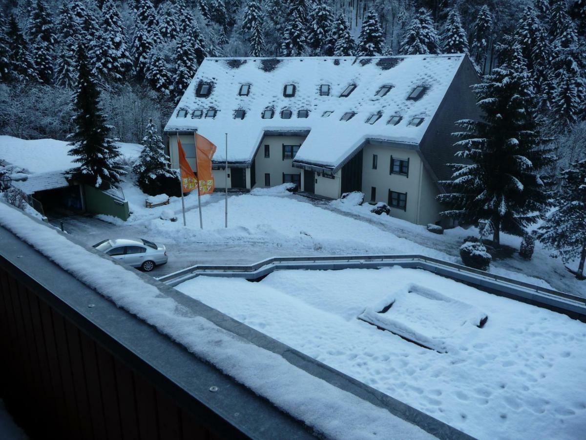 Апартаменты Haus Dachsberg Тодтмос Экстерьер фото